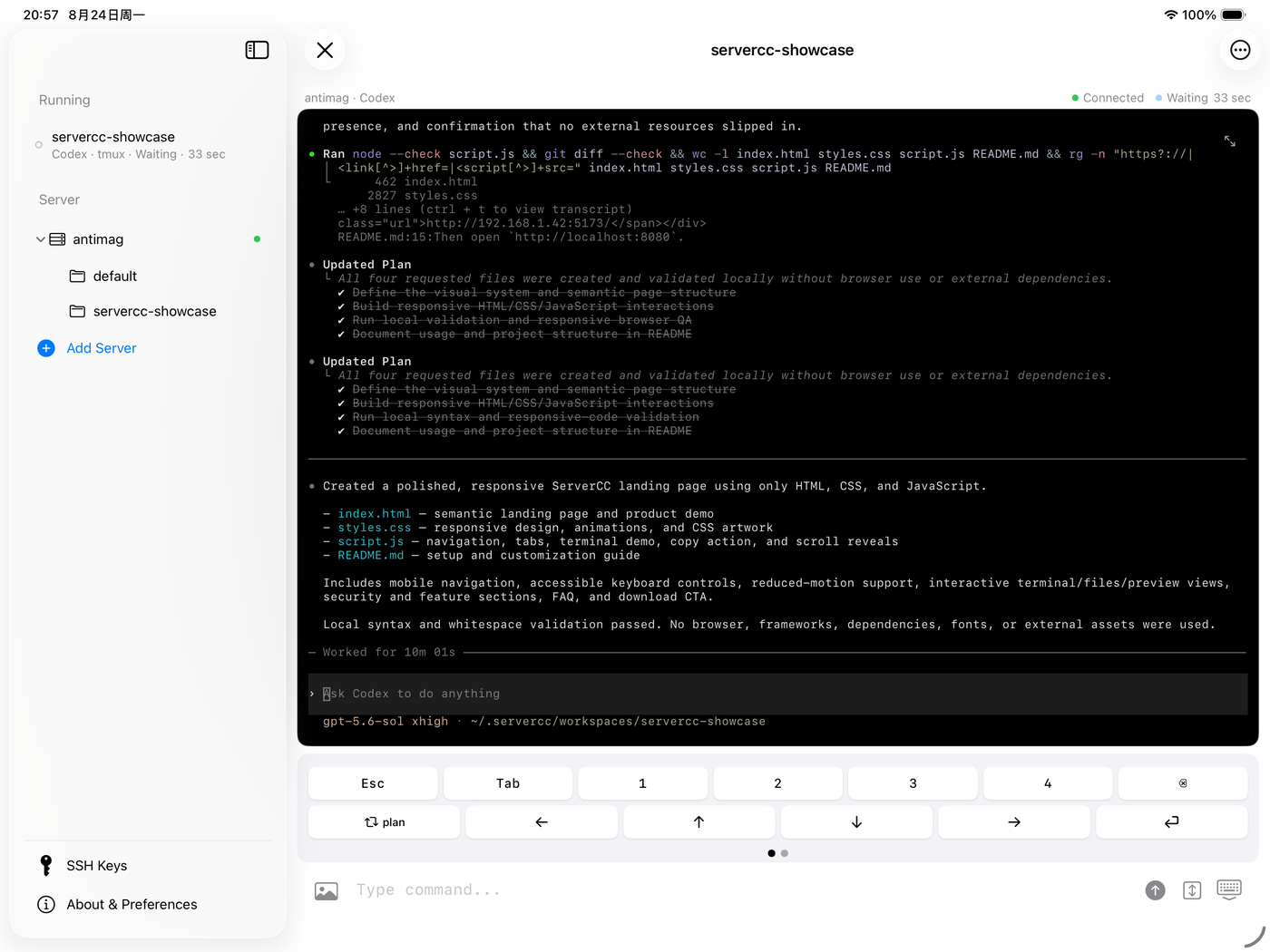 A Codex session on iPad: the sidebar shows servers and the running session, the terminal fills the rest with a key row underneath