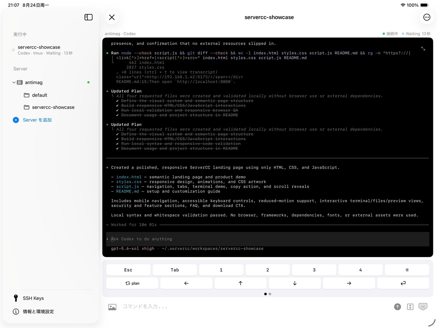 iPad の Codex セッション：サイドバーにサーバーと実行中のセッション、残りをターミナルが占め、下にキー列が並ぶ
