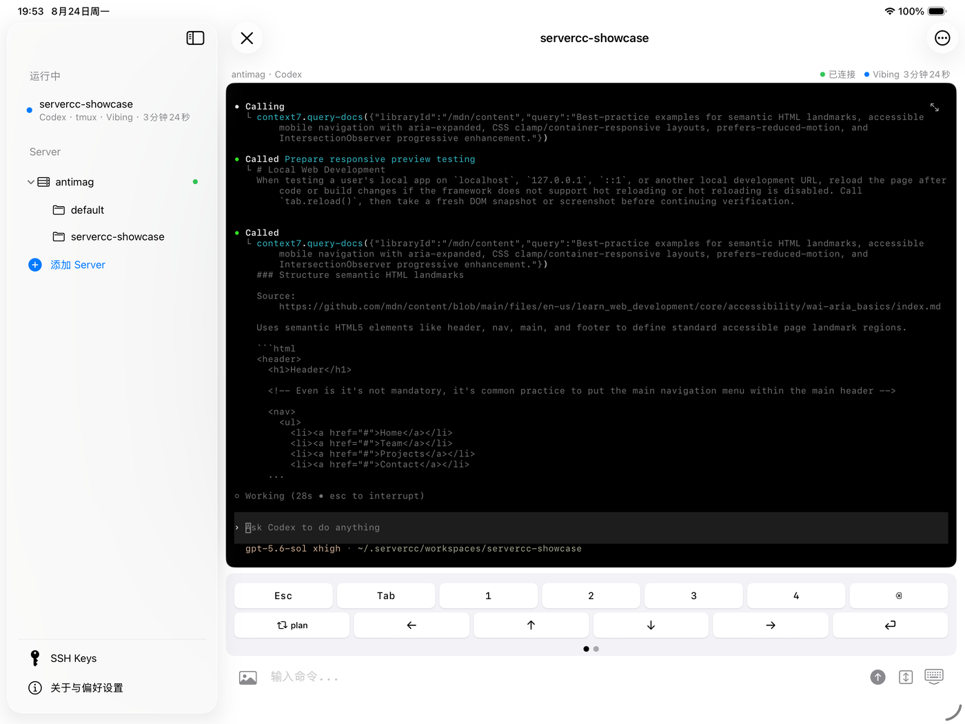 iPad 上的 Codex 会话：侧边栏是服务器与运行中的会话，终端占满其余空间，下方是按键行