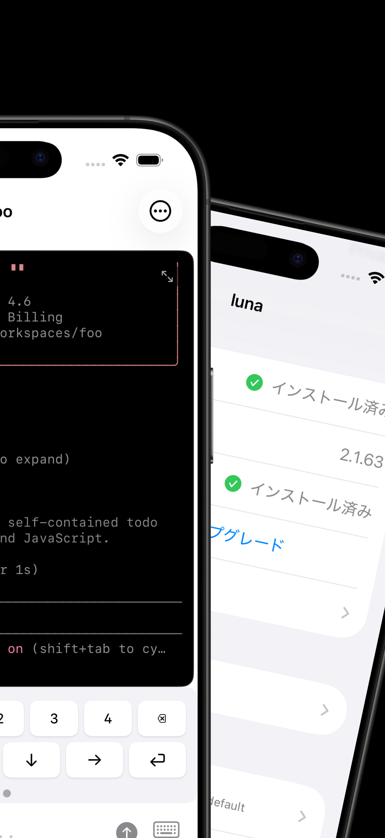 2 台の iPhone で ServerCC を並べて表示：API 使用情報付き Claude Code ターミナルと、Claude Code インストール済みのサーバー詳細ページ